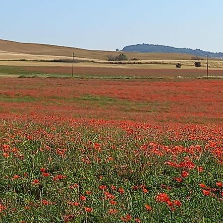 Appartamento Con Vista Panoramica Pienza Exterior foto